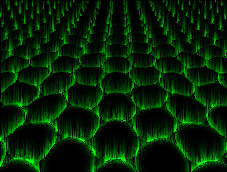 AdobeStock 266350733